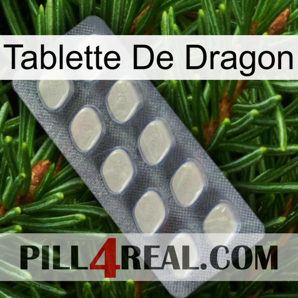 Dragon Tablet 08